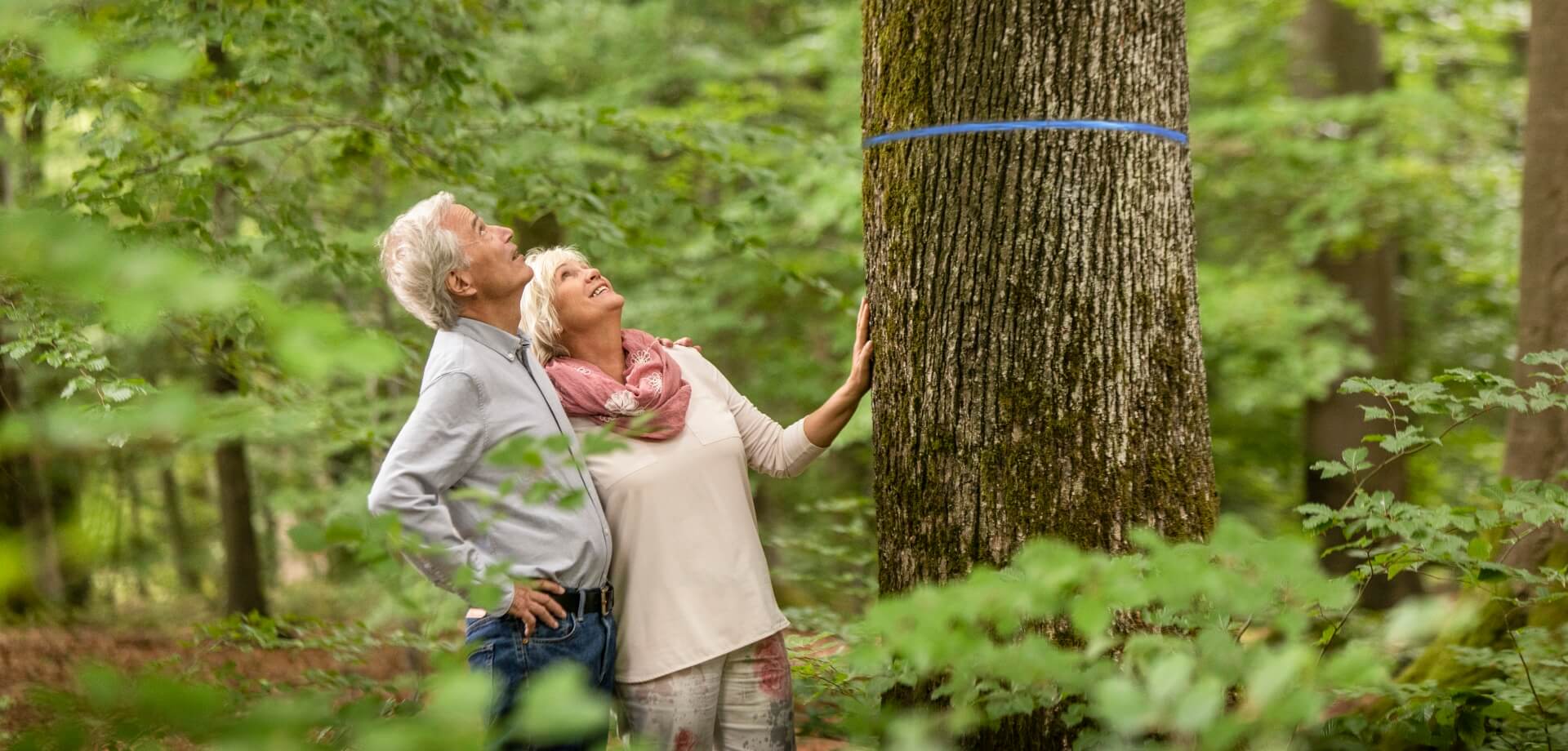 FriedWald-Baum selbst aussuchen